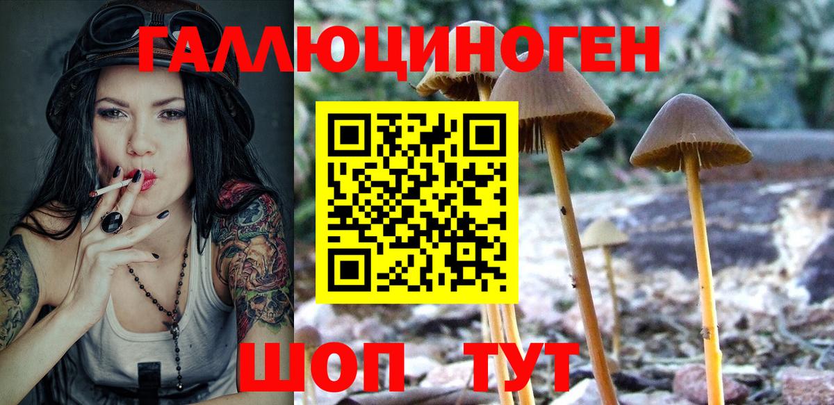 Псилоцибиновые грибы мицелий Шахты