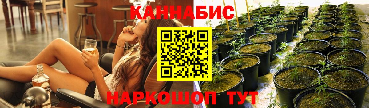 Шишки марихуана семена  Шишки марихуана план  Вход с VPN  Шахты 